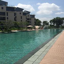 The Miltonia Residences (D27), Condominium #49829702